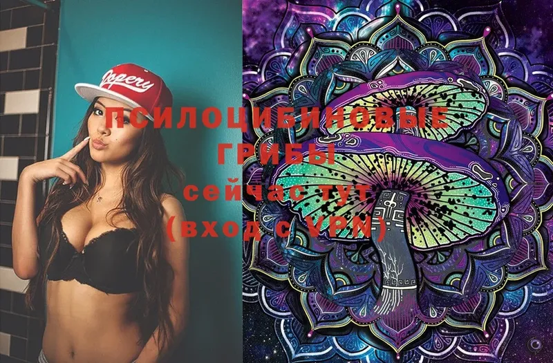 Псилоцибиновые грибы Magic Shrooms  закладка  Тюкалинск 